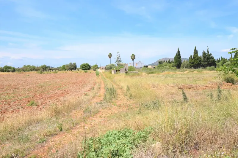 Rustic finca with wonderful views of the Serra de Tramuntana in the municipality of Llubí — photo 12