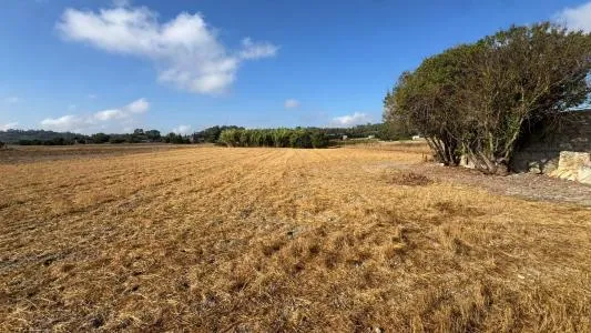 Rustic Land - Maria de la Salut — photo 3