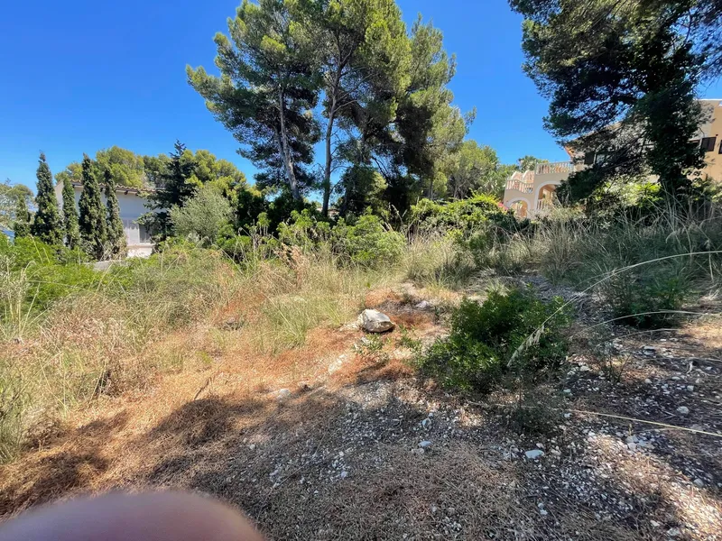 Rural land in Santa Margalida, plot surface 25574.5 m² — photo 10