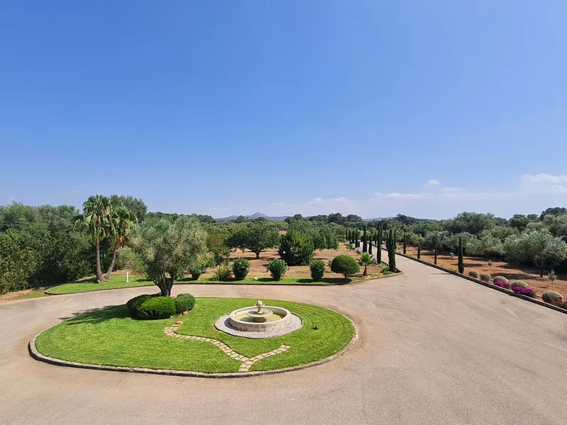 Finca in Algaida, Mallorca — photo 3