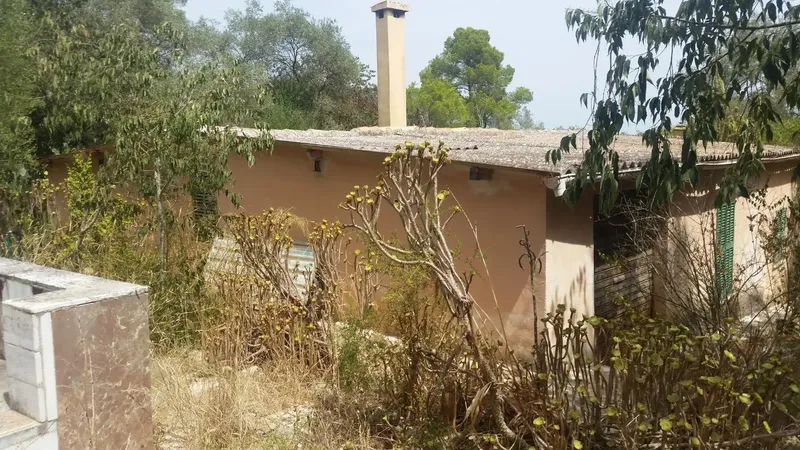 For sale: finca with legalized house, water and electricity — photo 9