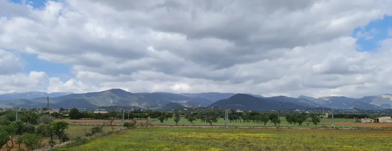 Plot for sale in Santa Maria del Camí – Single-family home project — photo 5