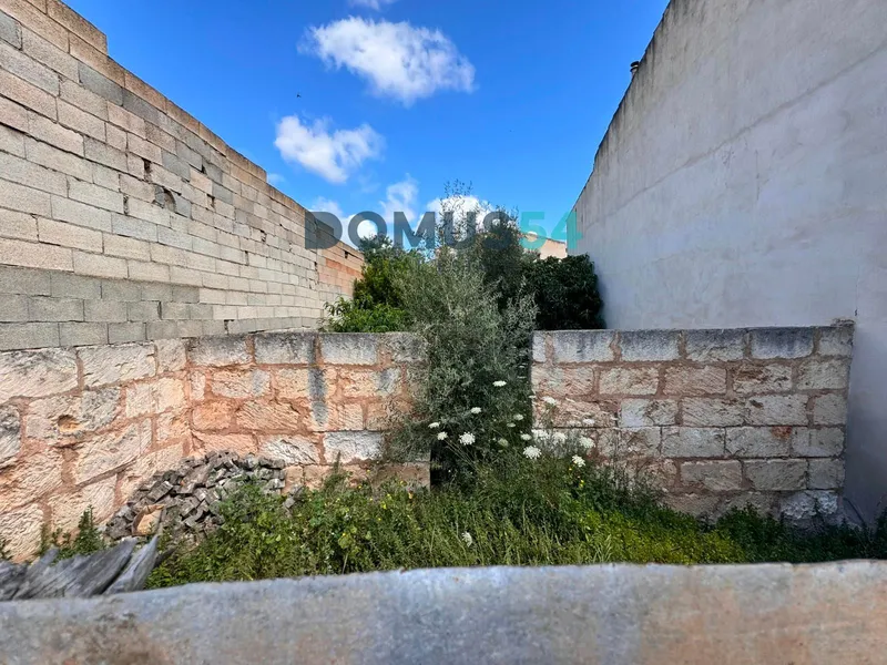 plot in Sa Pobla — photo 3