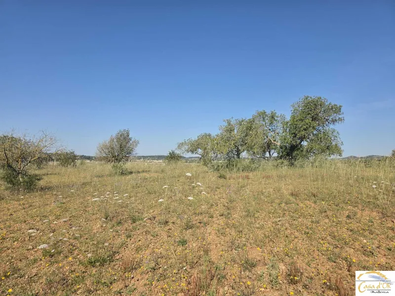Exclusive Building Plot with Mediterranean Serenity near Sant Llorenç des Cardassar — photo 6