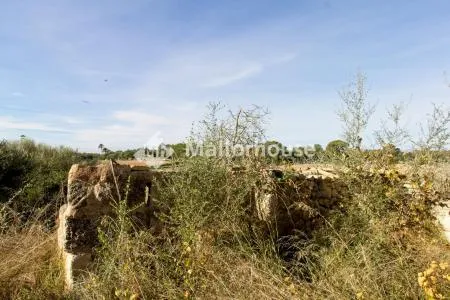 Urbanizable land - Llubí (Llubi), Plot Surface 25600m², Distance to the sea 15 Km. — photo 10