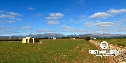 Real estate picture 0 Ref. No. 79889 — photo 1