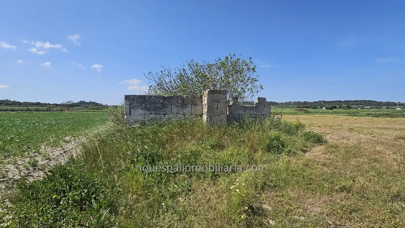 Rustic finca in Muro — photo 2