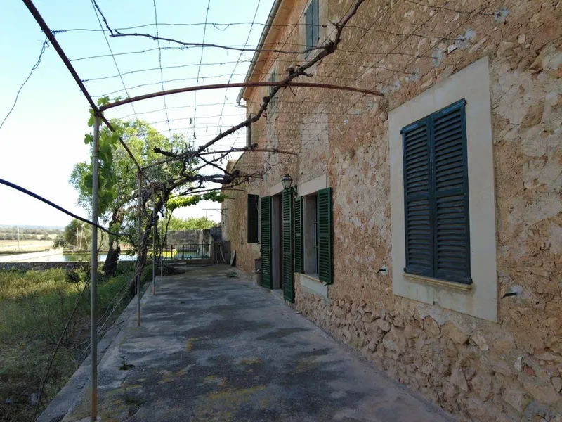 Rural or Farmhouse in Santa Eugènia, Province of Balearic Islands — photo 10