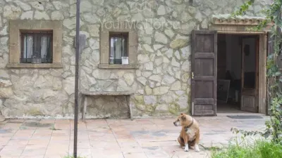 Rustic house in Manacor — photo 4