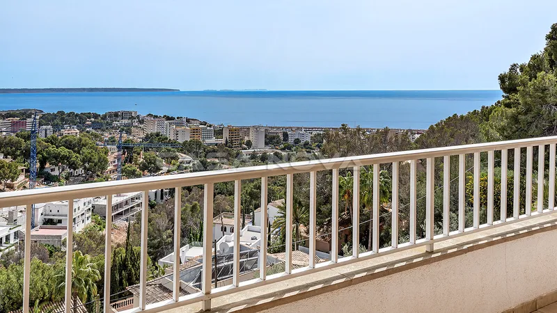 Newly built villa with roof terrace and sea views — photo 3