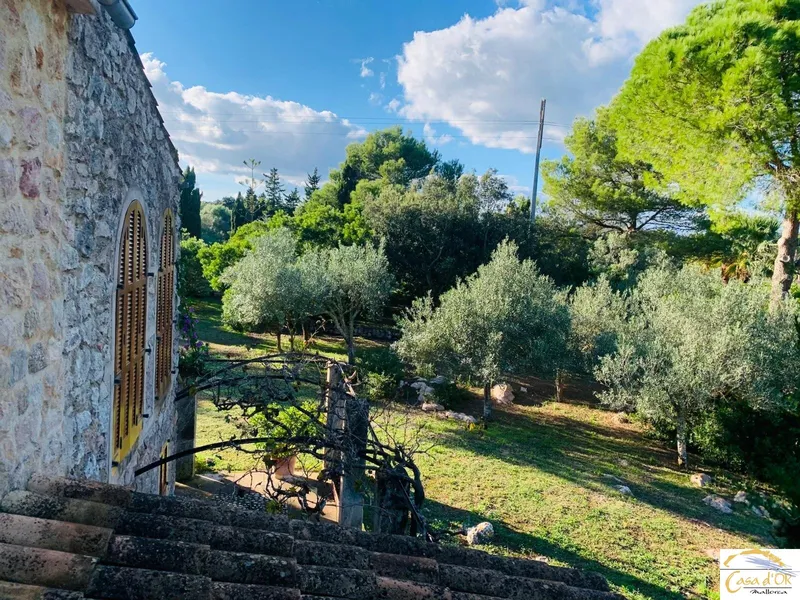 Authentic finca with Mediterranean charm and mature trees near Capdepera — photo 6
