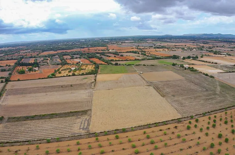 Plot with project in Son Valls — photo 3