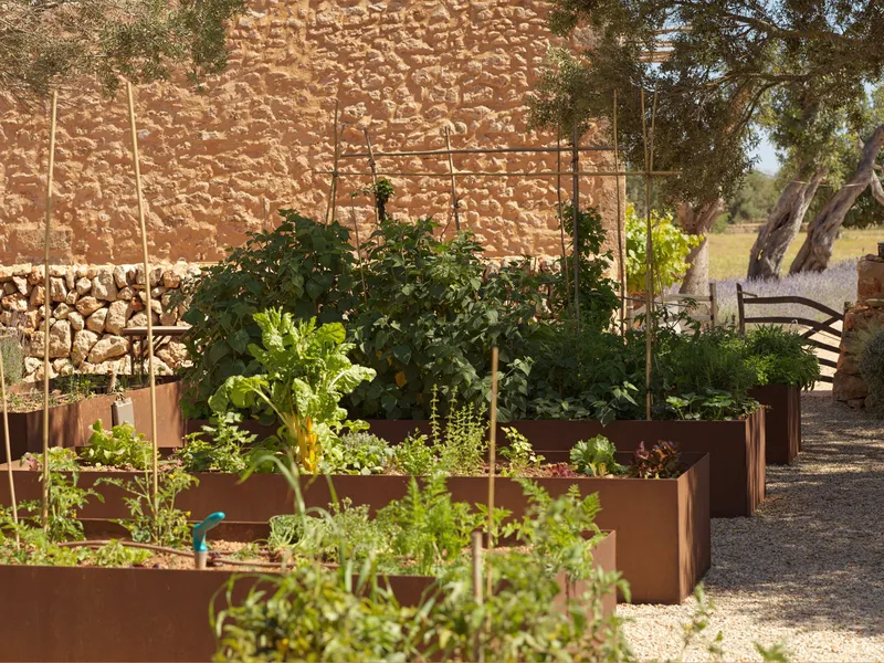 Remarkable finca with guest house in Llucmajor — photo 8