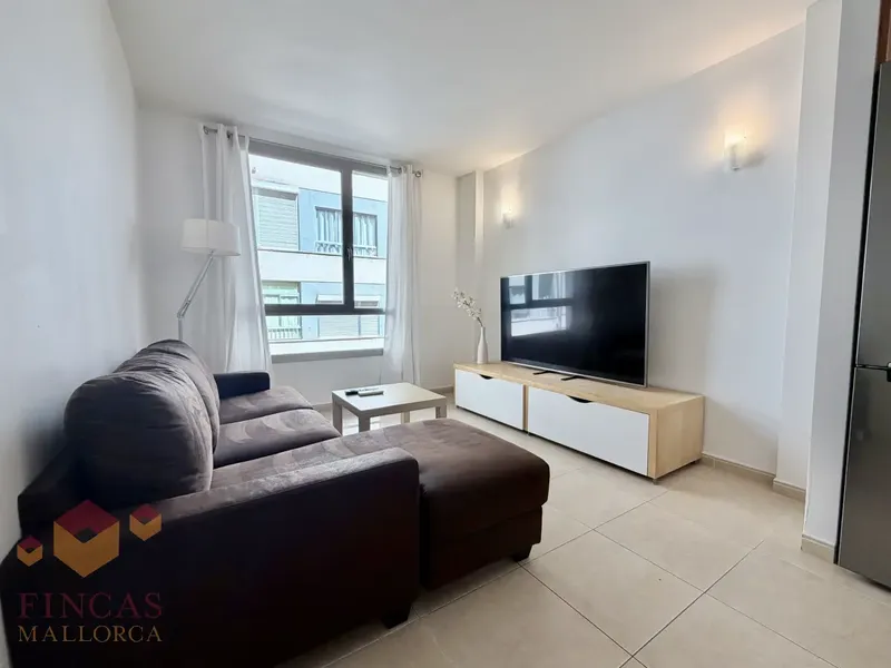 1-bedroom apartment with terrace for rent in Palma (S’Escorxador – Plaza Abu Yahya) – NOT AVAILABLE — photo 6