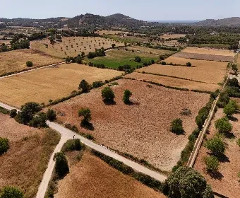 Land for Sale in Sant Llorenç des Cardassar — photo 10