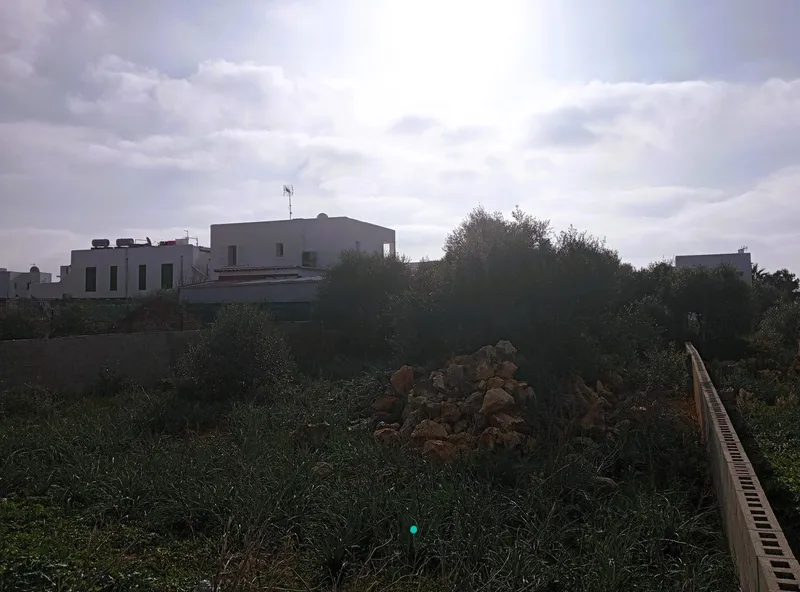 Strategic Investment in Santanyí: Plot for Community Projects in Tranquil Cala D'Or — photo 4
