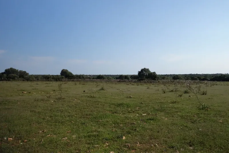 Large building plot near Santanyí with approved project and church views — photo 5