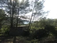 Plot in Bonaire near the sea — photo 1