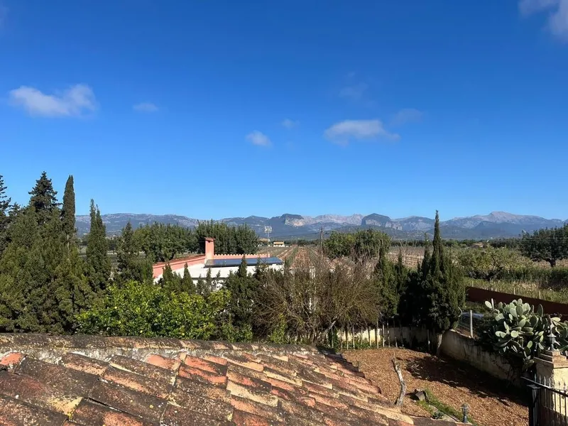 Detached House in Consell, Province of Balearic Islands — photo 7