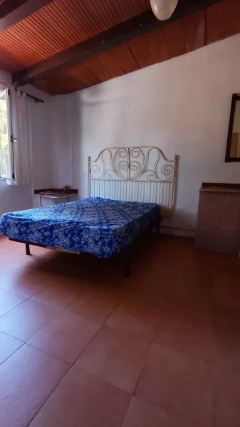 Apartment in a quiet location in Cala Murada available immediately — photo 2