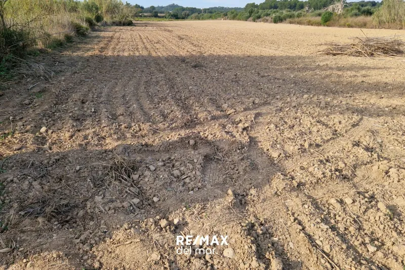 Rustic plot with well in Porreres — photo 6