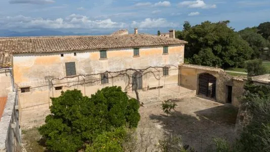 Rustic property - Algaida, built surface 1900 m2, plot surface 540000 m2, 1 bathroom — photo 5