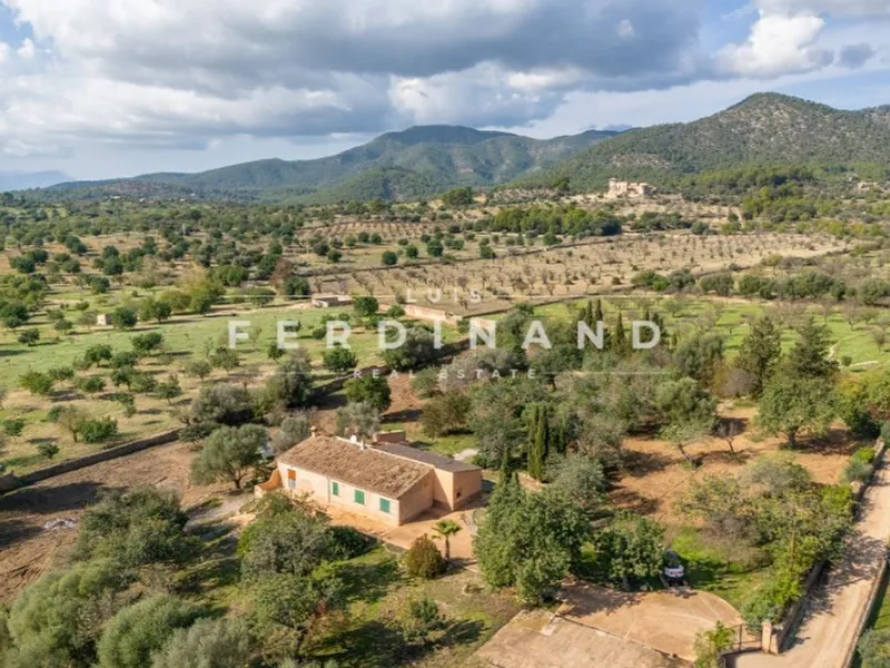 Luxury home in Santa Maria del Camí, Province of Balearic Islands — photo 8