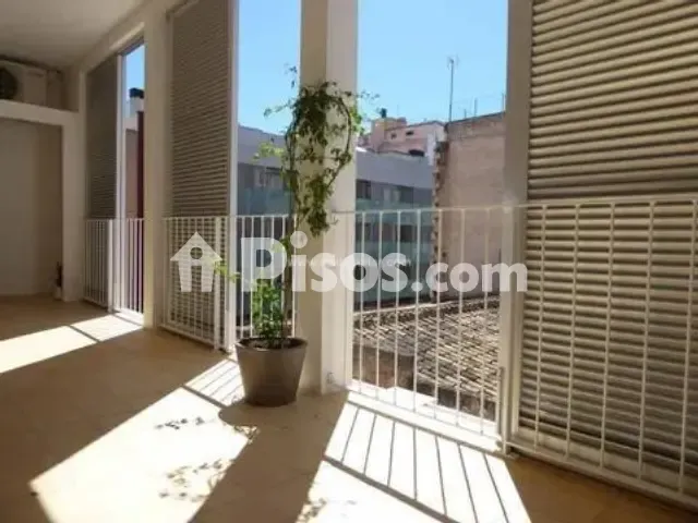 Apartment in Cort — photo 1