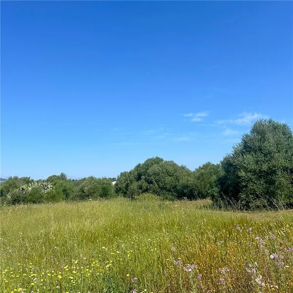 Building plot of approx. 23,000 m² — photo 2