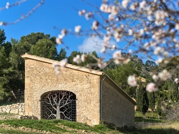 Investment! Historic property in Paguera with many possibilities — photo 8