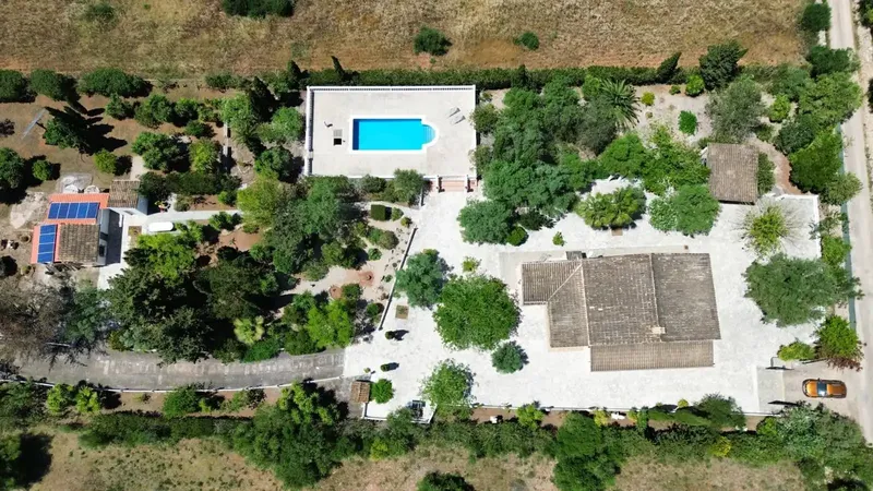 Rustic finca with pool and absolute privacy in Algaida – 7,880 m² of land — photo 3