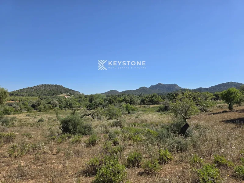 Plot — photo 8