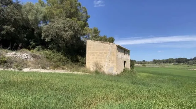 Finca/Country House for sale in Lloret de Vista Alegre — photo 5