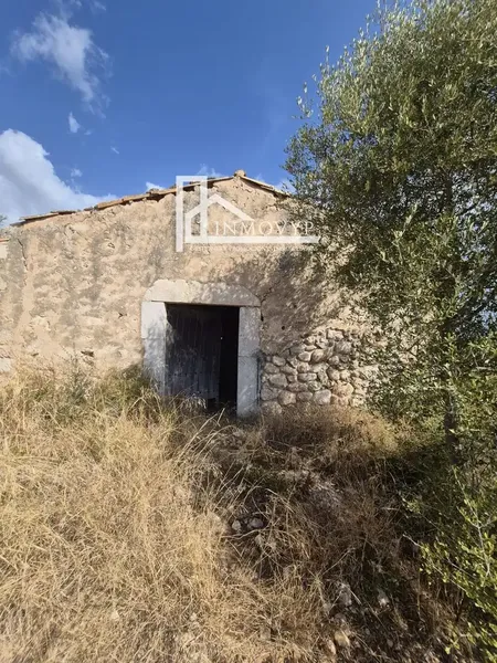 Cannot be extended. Has vein well. 3 plots of land for sale with a total of 11,675.91 m². On these plots there is a small house — photo 10