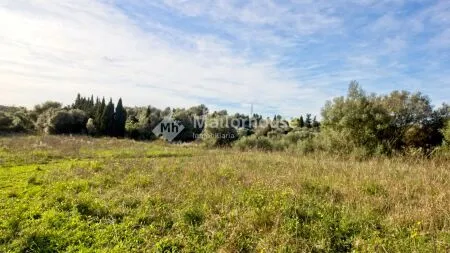 Rustic property - Muro (Muro afueras), Built Surface 512m², Plot Surface 14033m², Terrace Size... — photo 10