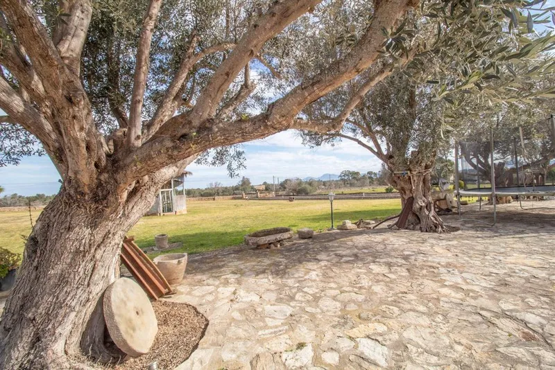 Villa in Can Picafort, Province of Balearic Islands — photo 8