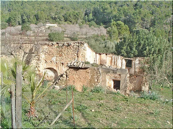 Ref. 970P – Andratx – Finca to renovate — photo 8