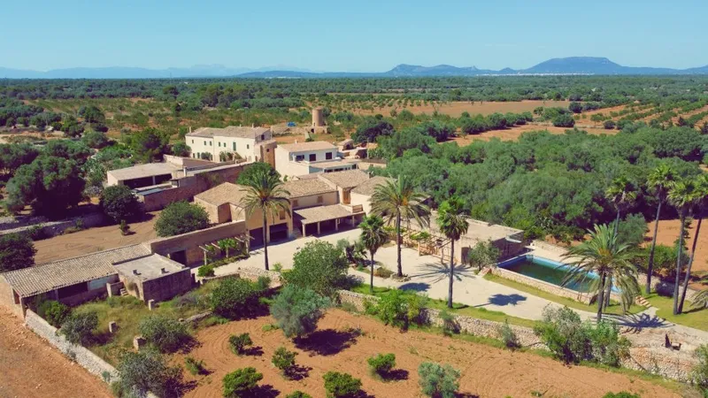 Large Country Estate to reform in Llucmajor — photo 3