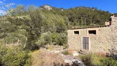 Rustic finca in Alaró — photo 4