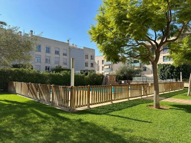 Apartment for rent in Palma de Mallorca, Colegios area — photo 2