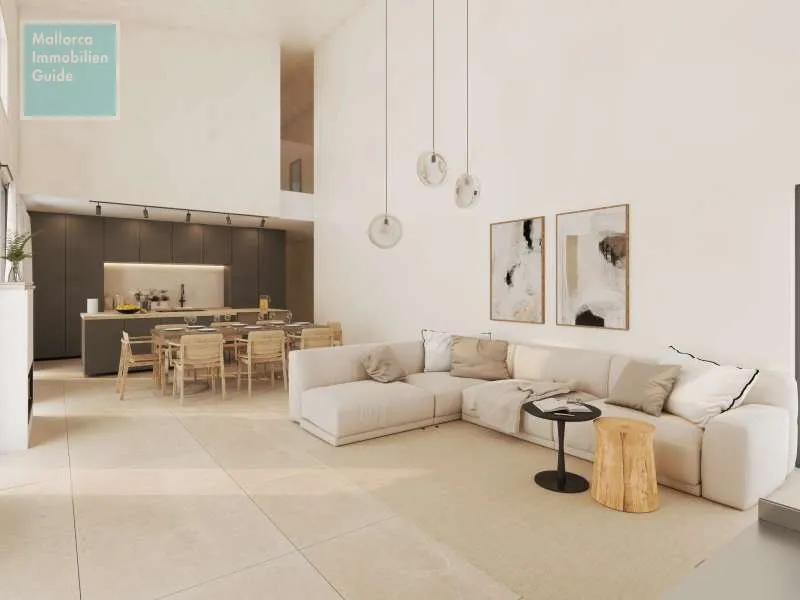 New finca in Ses Salines — photo 9