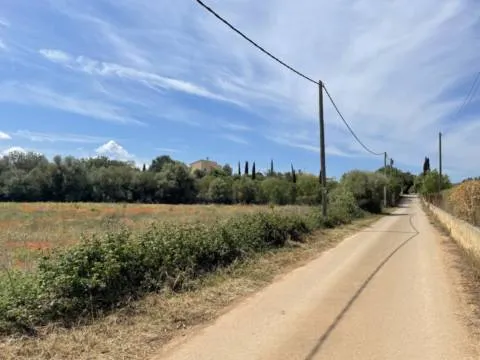 Plot — photo 3