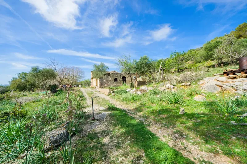 Finca to renovate in the hills before Artà — photo 2