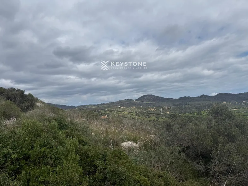 Plot — photo 2