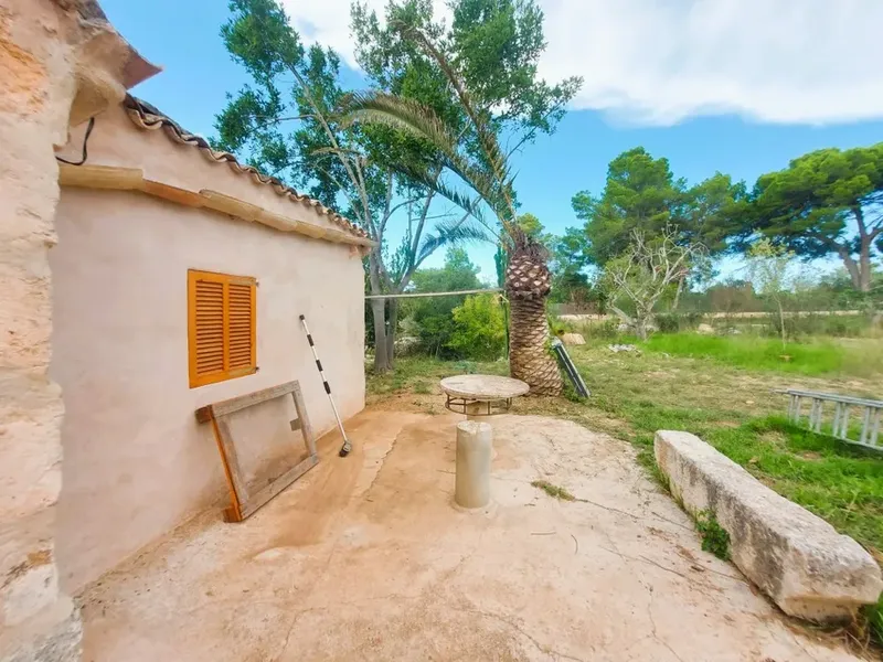 Cortijo in Muro, Mallorca — photo 3