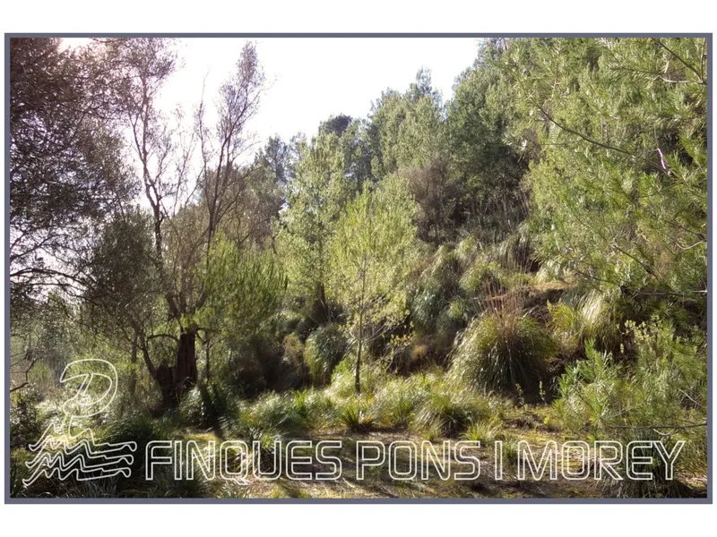 Land - Ref. [redacted] — photo 3