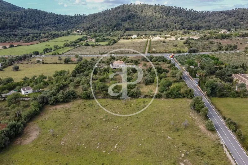 Land in Artà, Province of Balearic Islands — photo 8