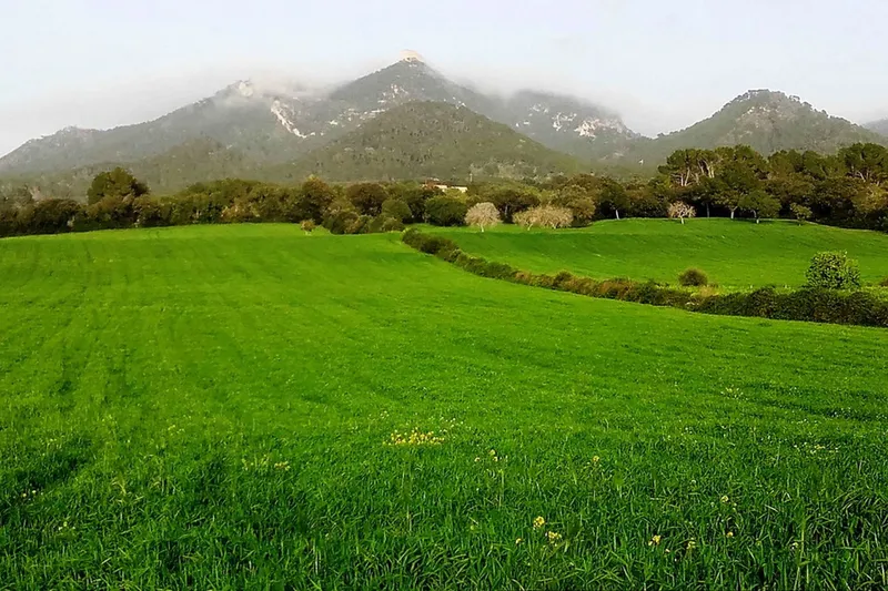 Large building plot with open views near Felanitx at Puig de Sant Salvador — photo 2