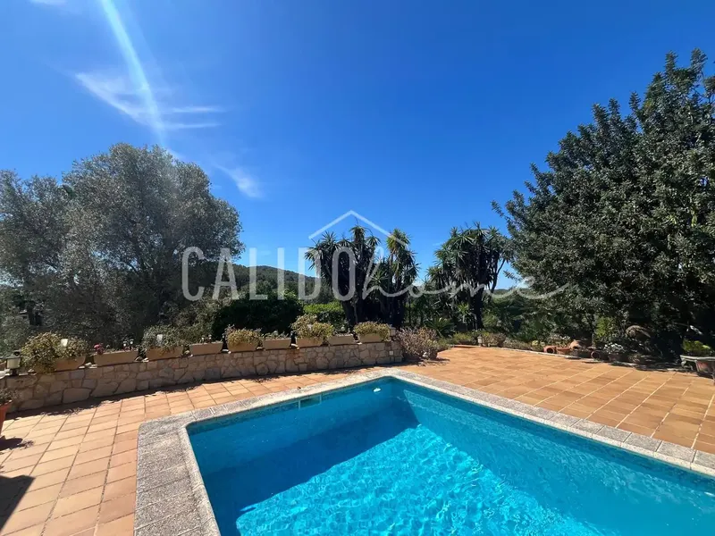 Exclusive! Urban estate for sale in Calvià, free, with single-family home and pool, in a quiet and natural environment. — photo 5
