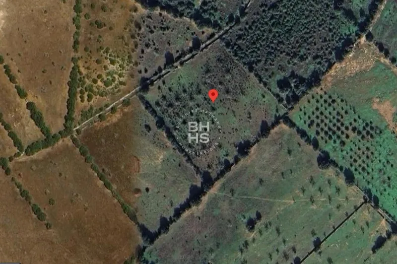 Country plot for sale in Ses Salines — photo 3